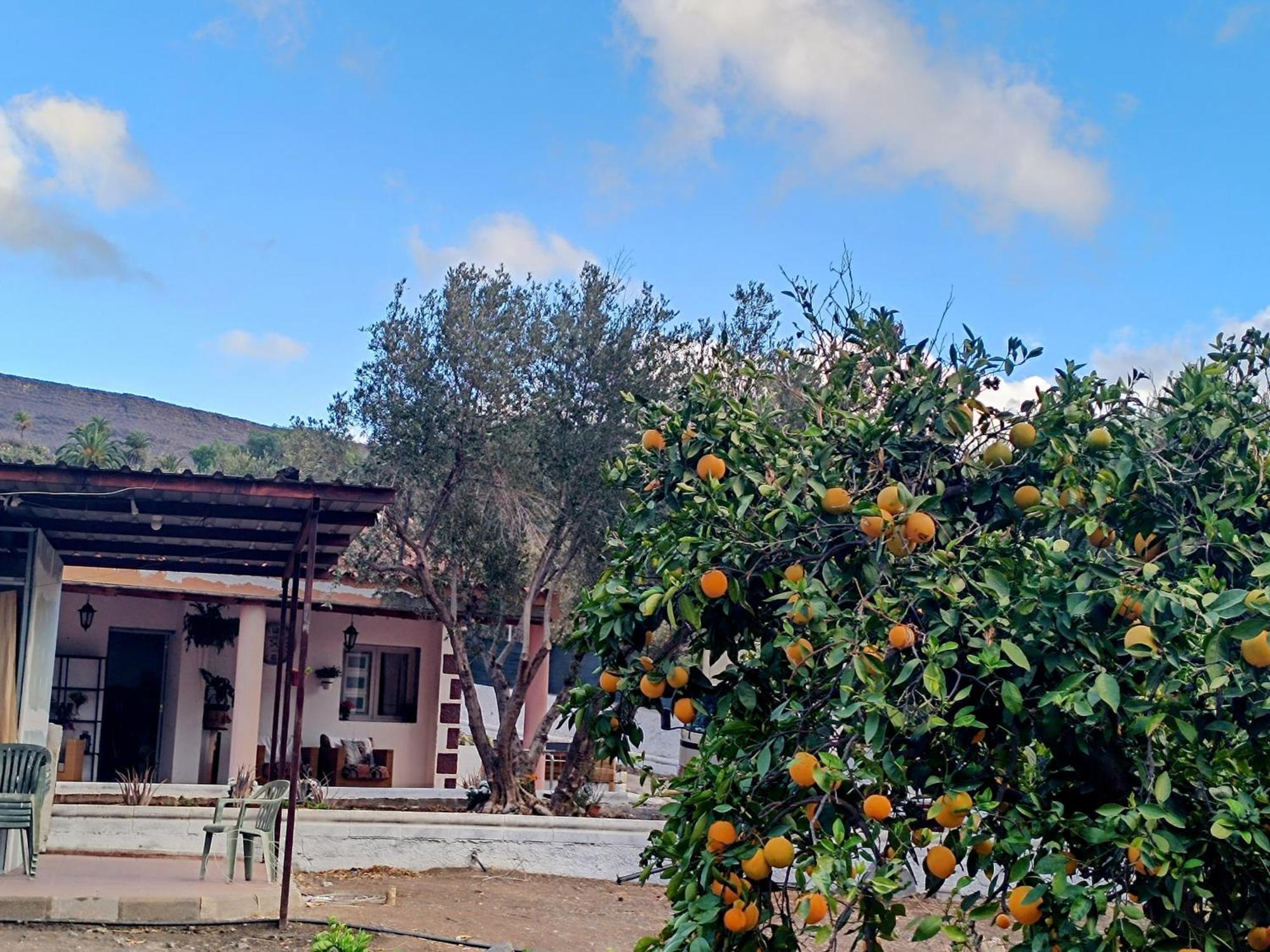 La Casa De La Pradera Vila Santa Lucia Exterior foto